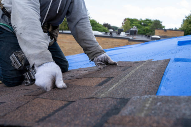 Best Sealant for Roof  in Hainesvle, IL