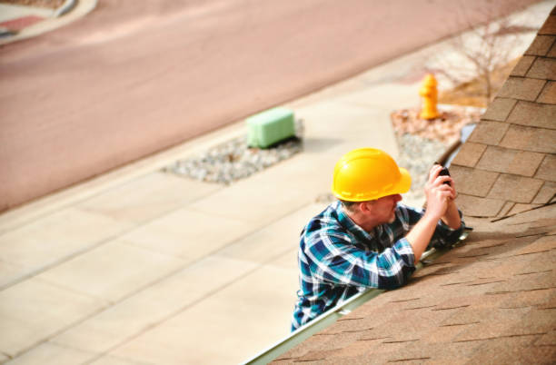 Best Roof Gutter Cleaning  in Hainesvle, IL