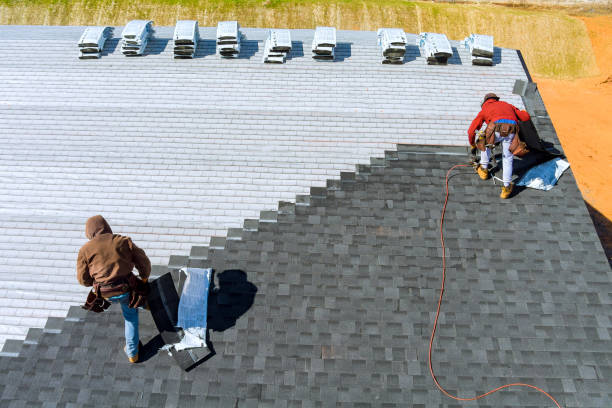 Best Roof Replacement Cost  in Hainesvle, IL