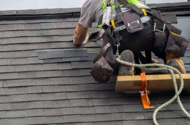 Best Storm Damage Roof Repair  in Hainesvle, IL