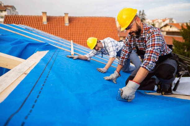 Best Metal Roofing Contractor  in Hainesvle, IL