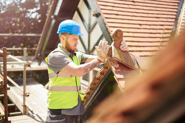 Best New Roof Installation  in Hainesvle, IL