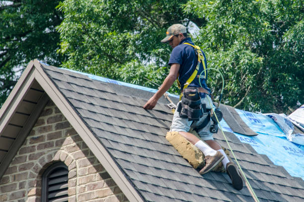 Best Roof Maintenance Services  in Hainesvle, IL